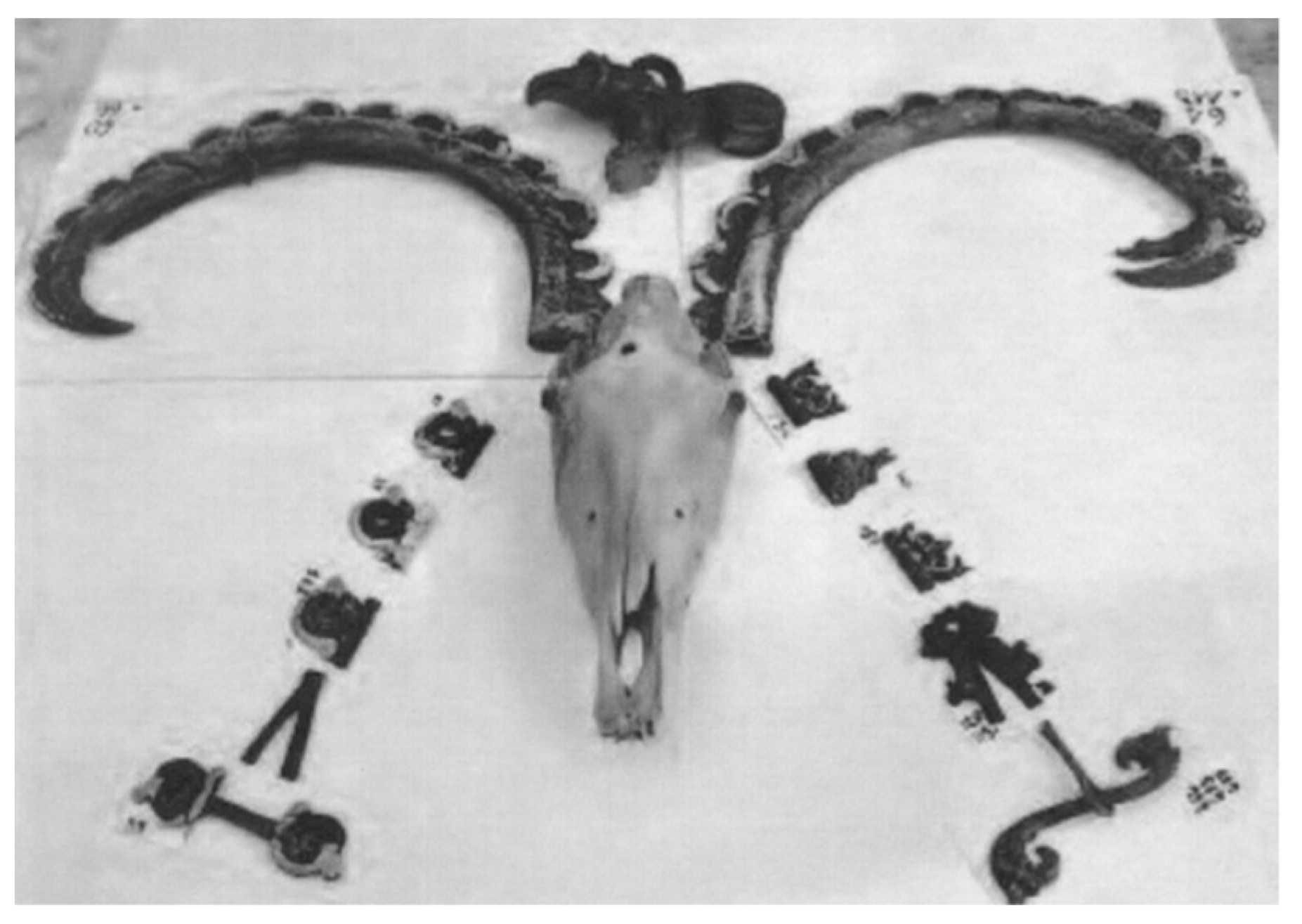 Arts 12 00029 g009 550