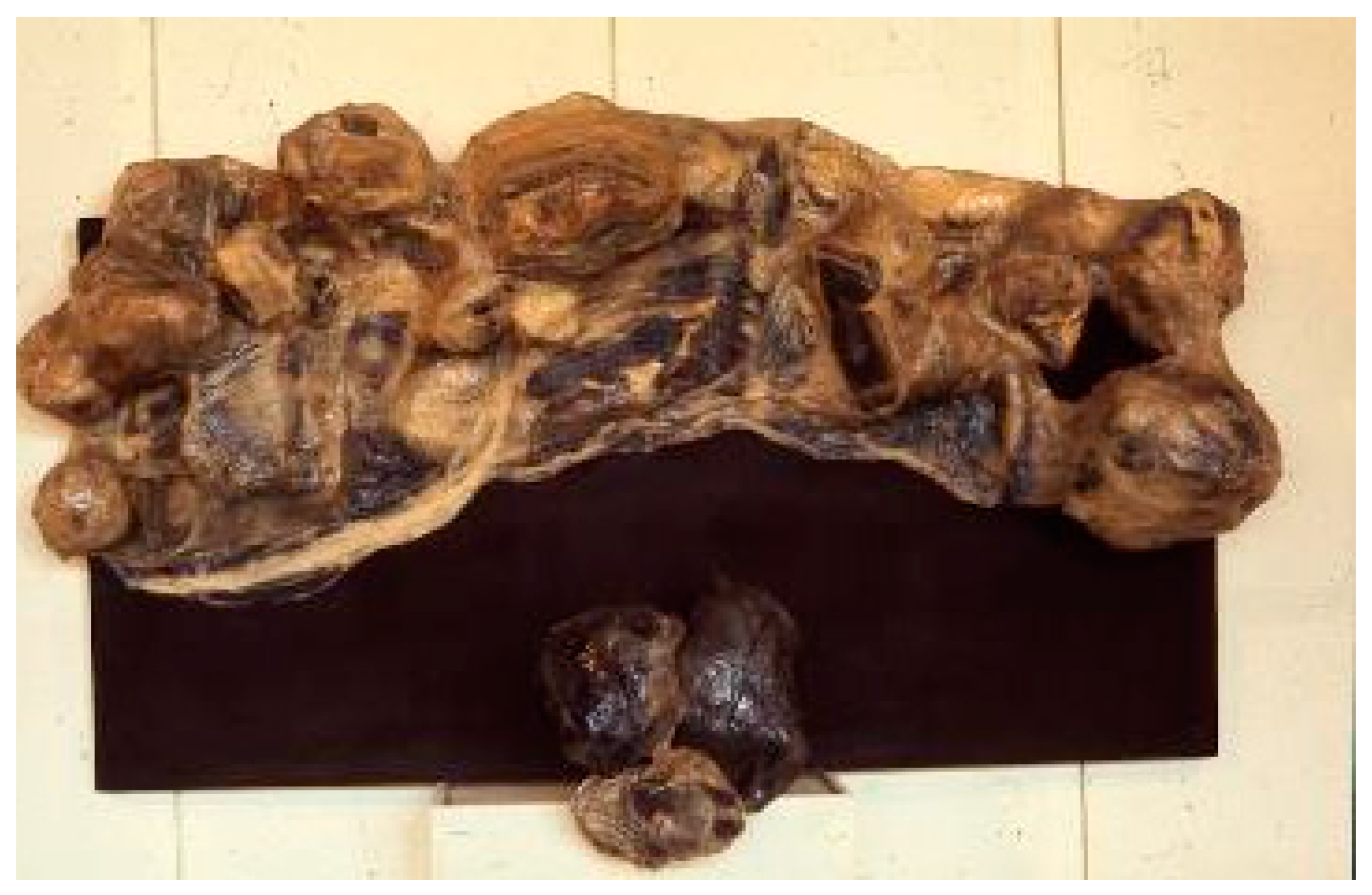 Arts 12 00065 g006 Arts 12 00065 g006