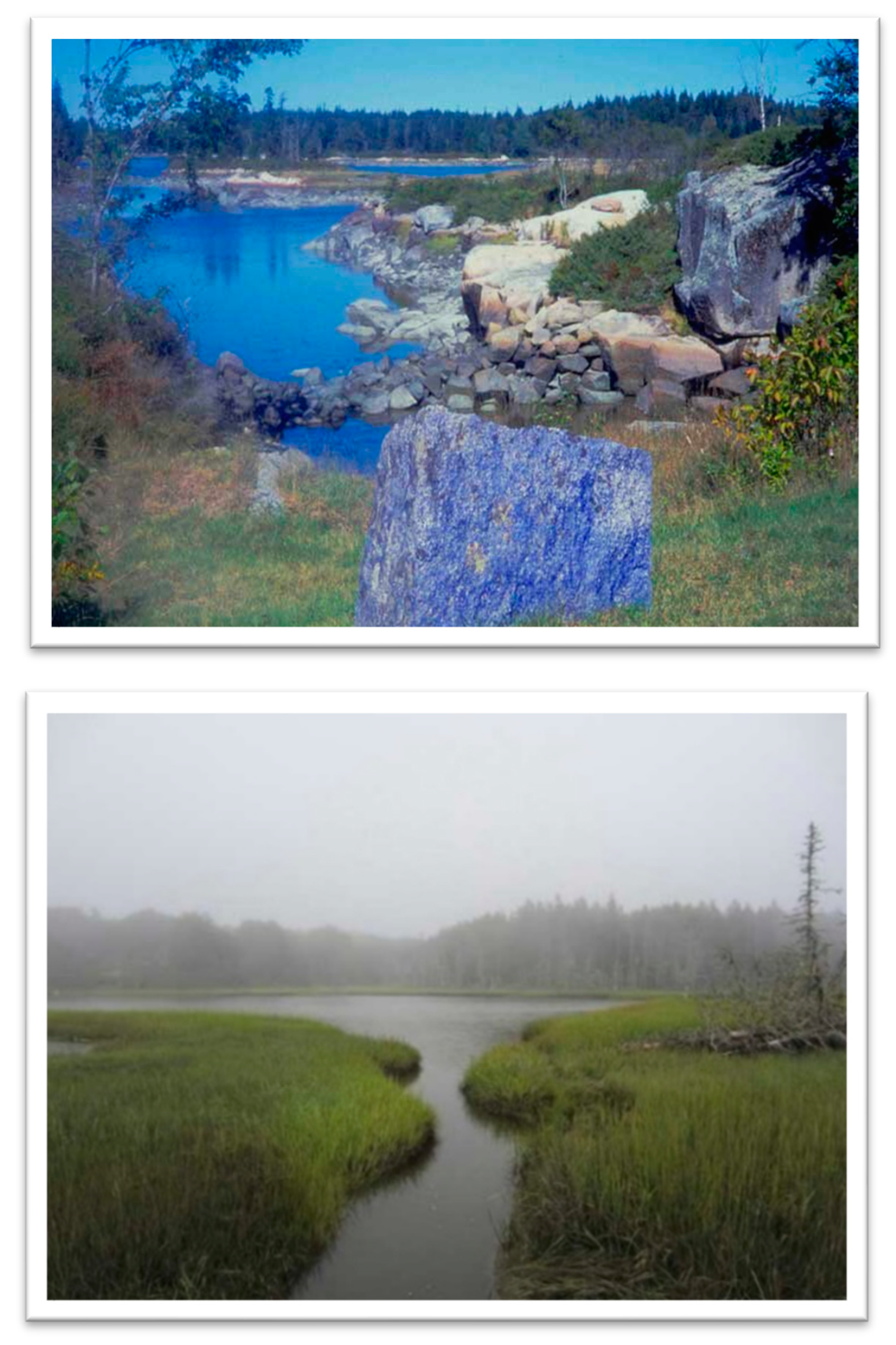 Art, Space, Ecology: Two Views-Twenty Interviews by John K