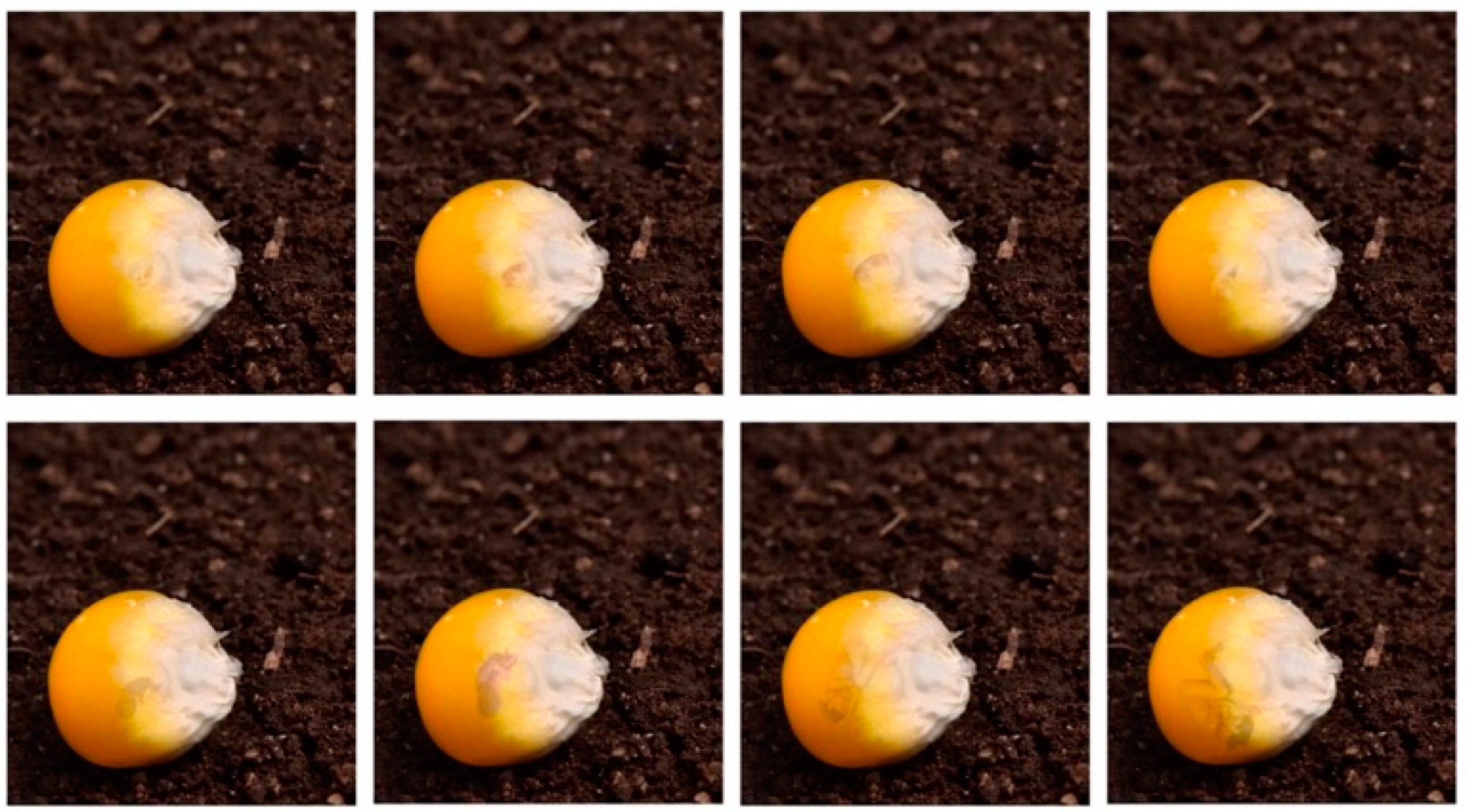 Arts 12 00127 g007 550