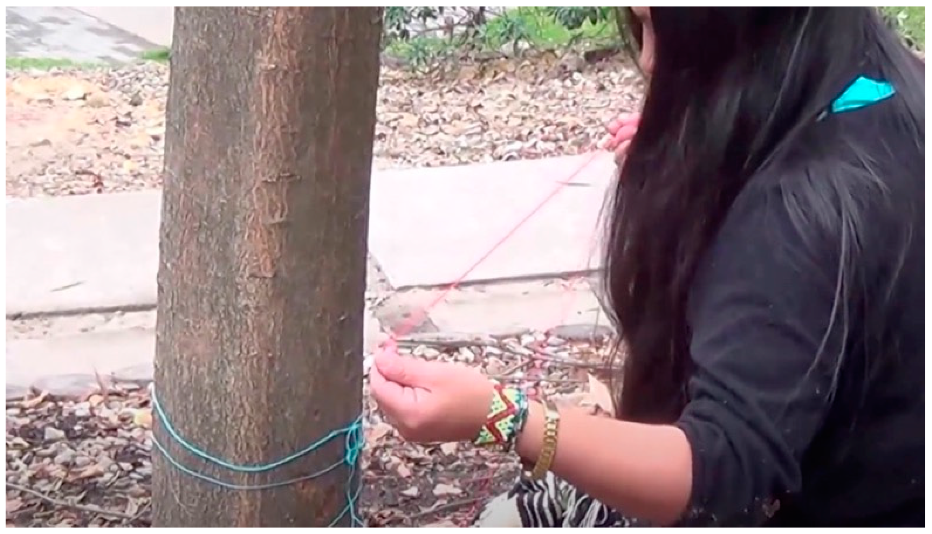 Arts 12 00127 g009 550