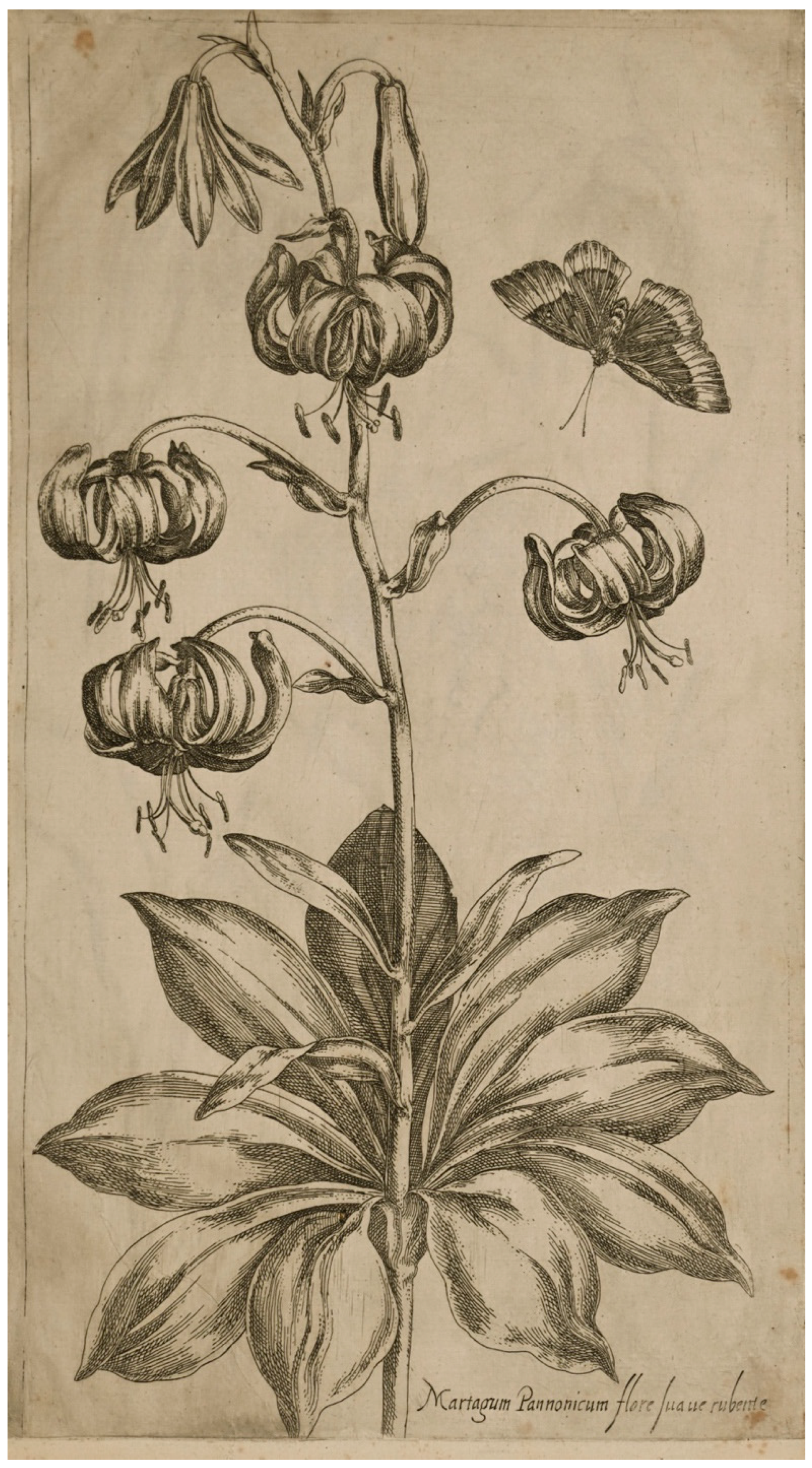 Arts 12 00253 g004