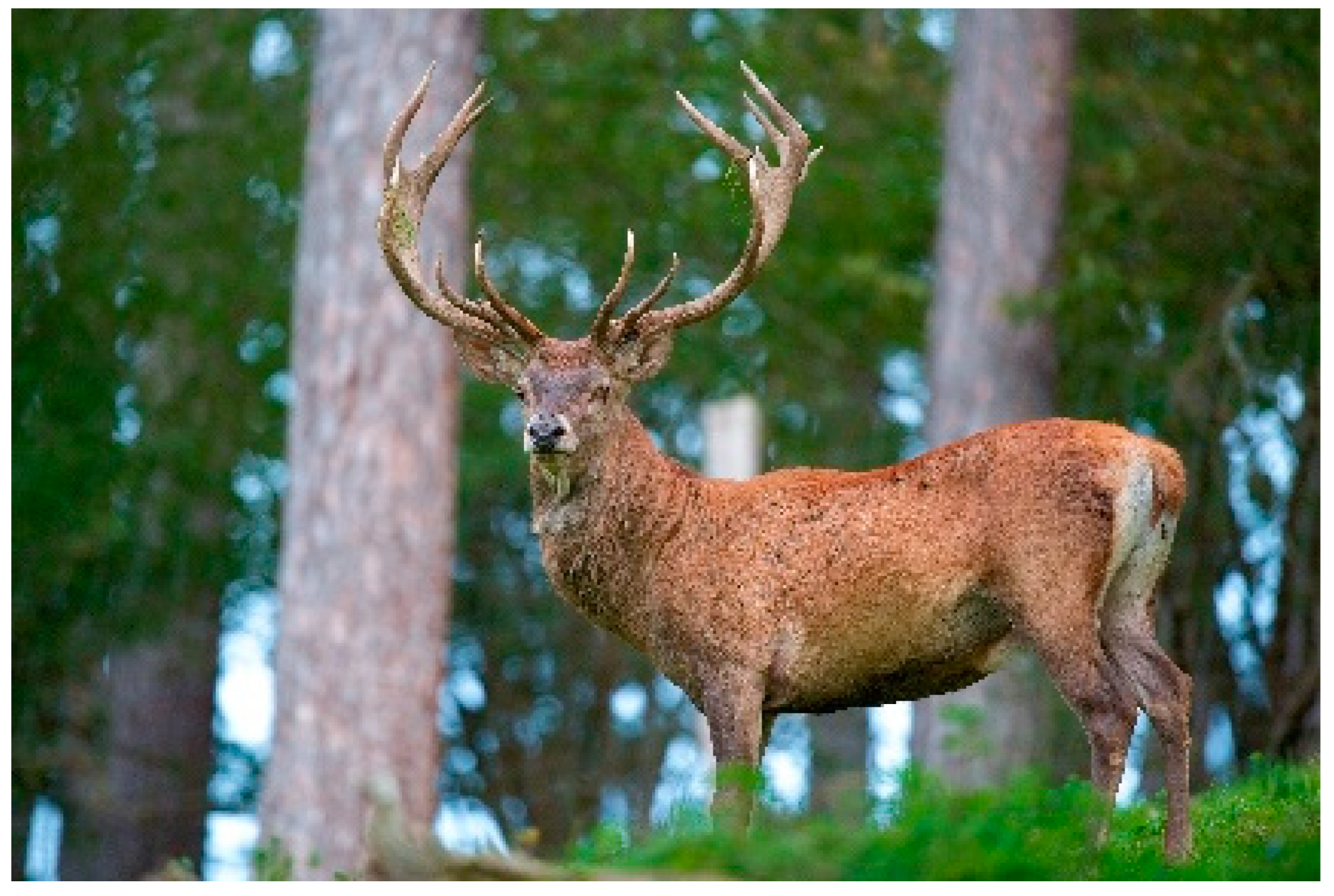 Arts 13 00064 g003 Arts 13 00064 g003