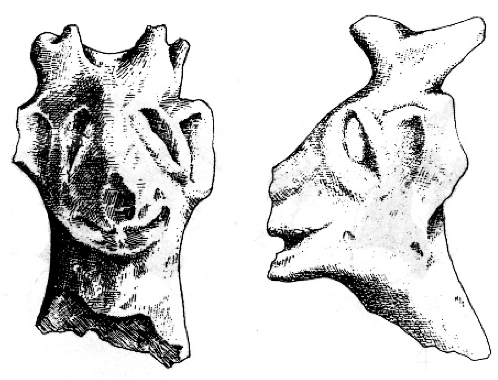 Arts 13 00064 g010 Arts 13 00064 g010