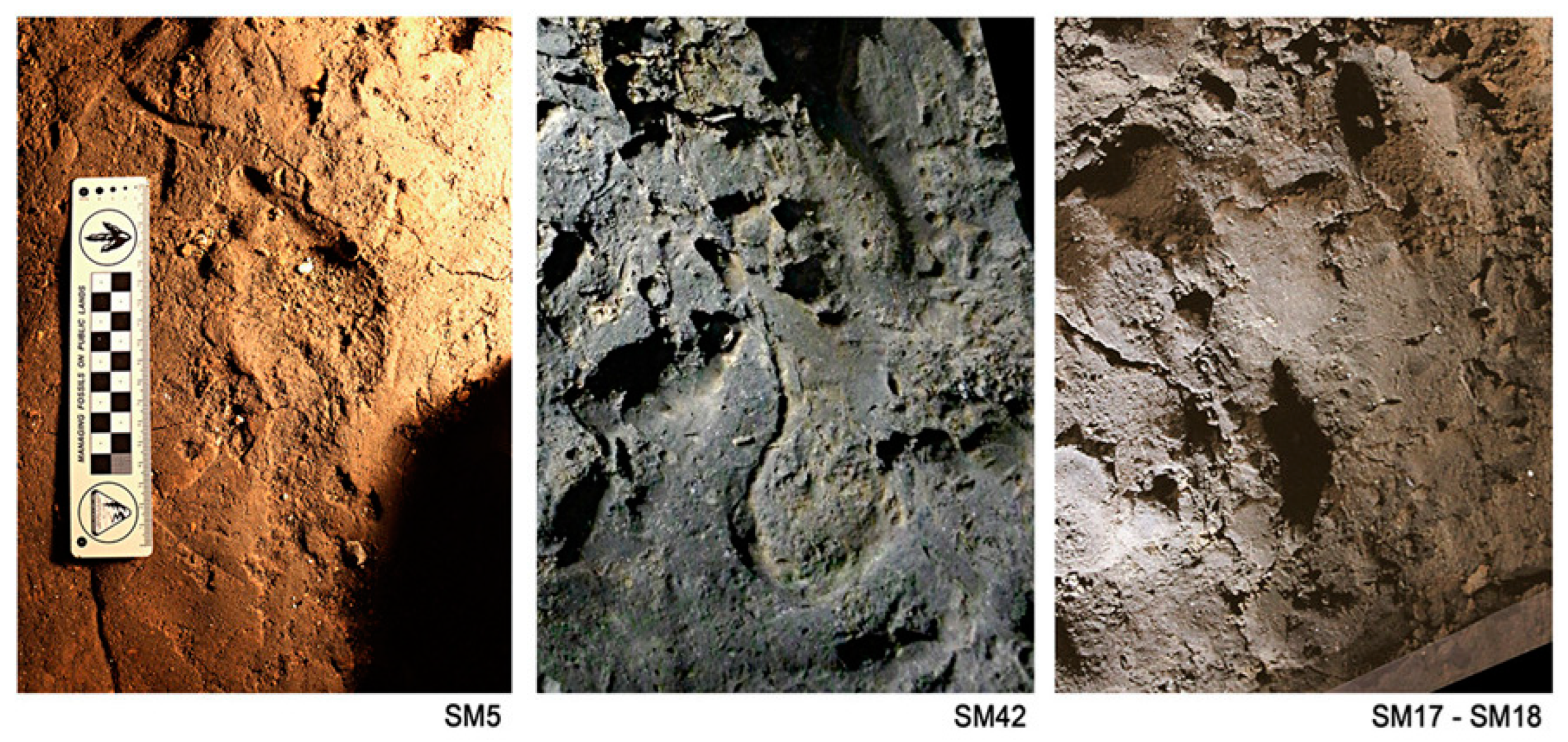 Arts 14 00027 g001 Arts 14 00027 g001