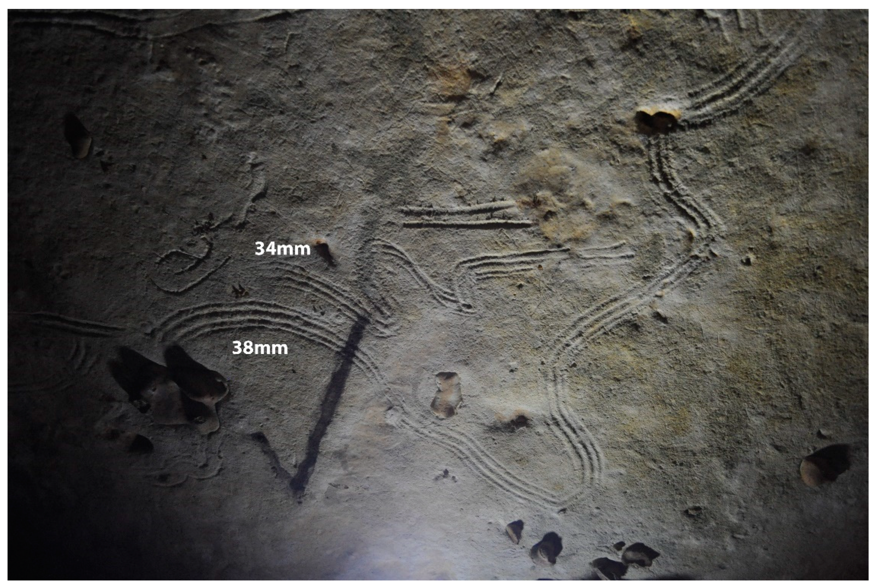 Arts 14 00027 g002 Arts 14 00027 g002