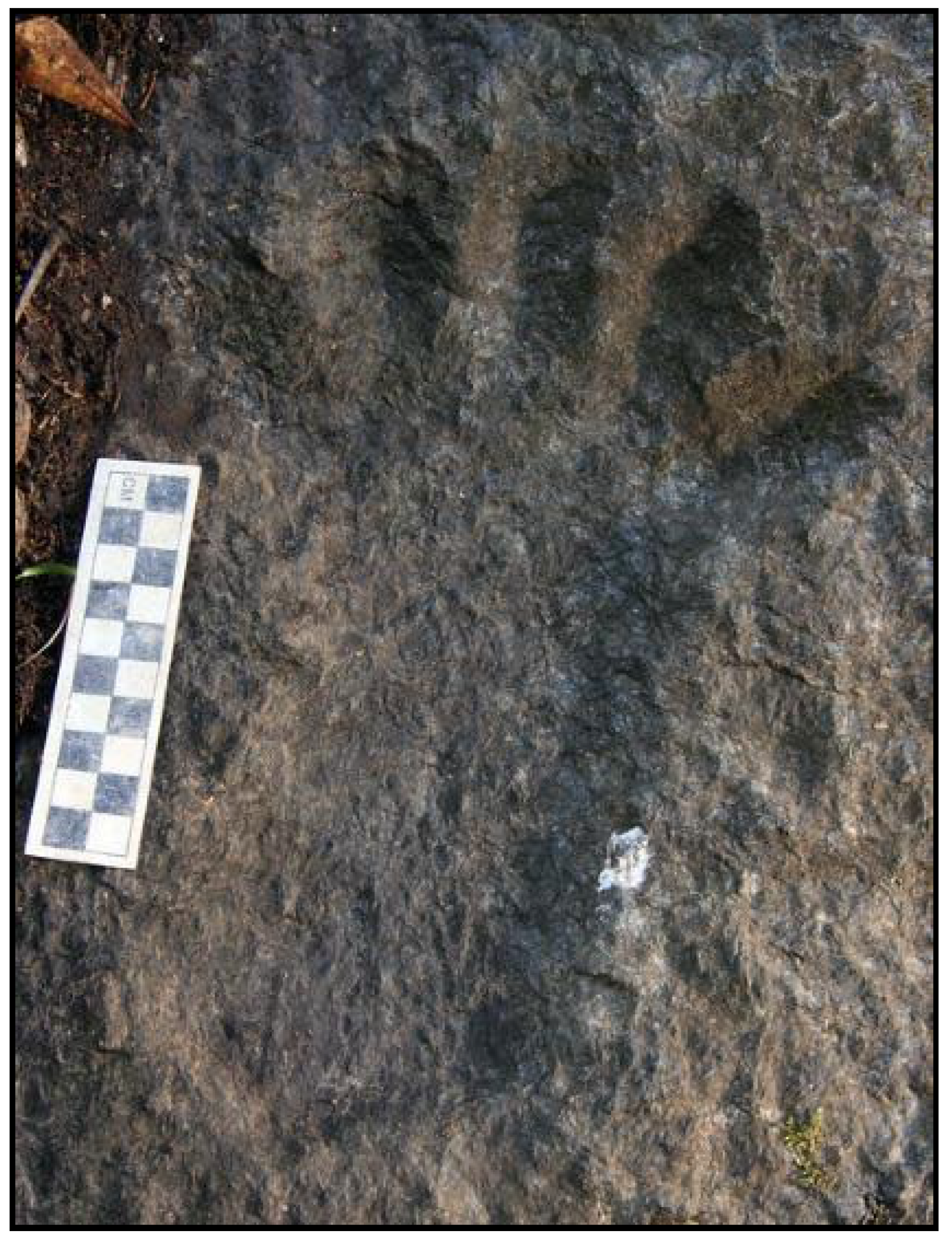 Arts 14 00089 g008 Arts 14 00089 g008