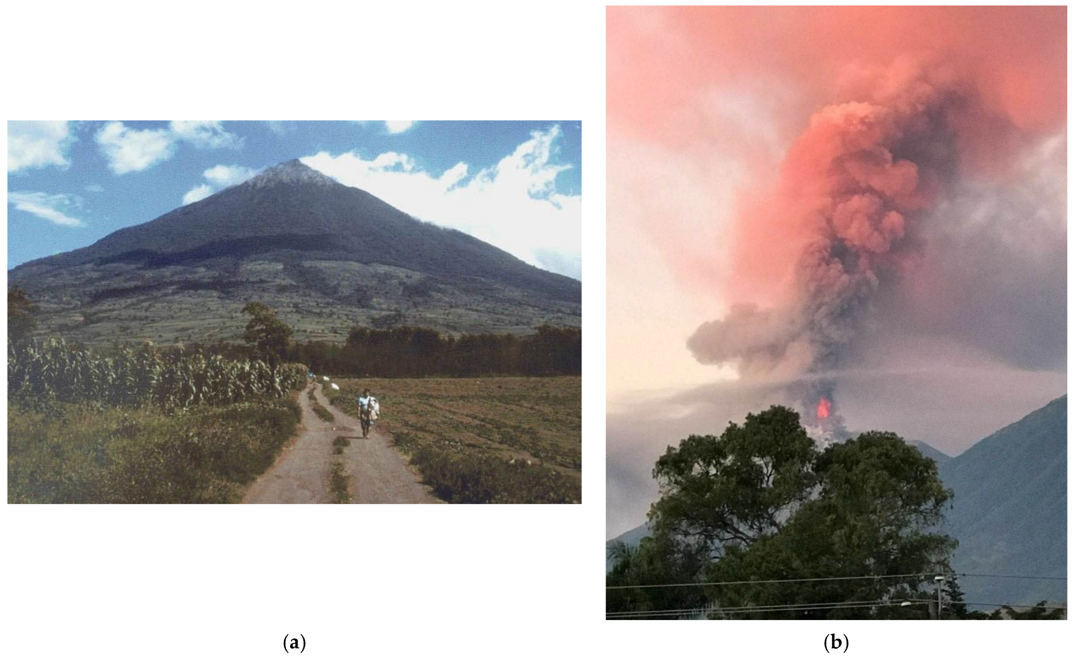 Arts 14 00154 g003 Arts 14 00154 g003