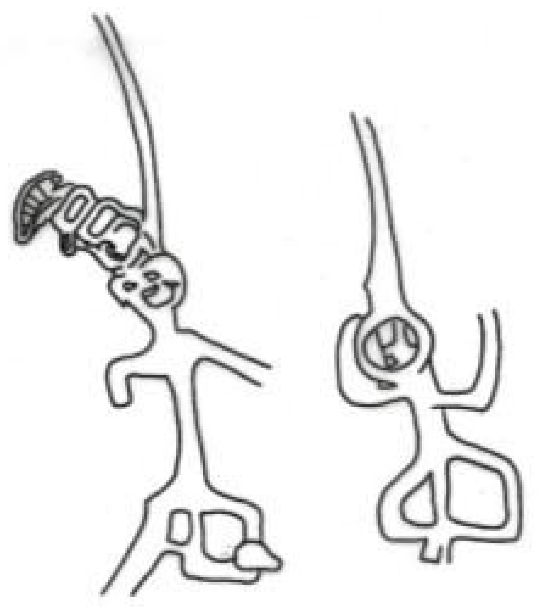 Arts 14 00154 g016 Arts 14 00154 g016