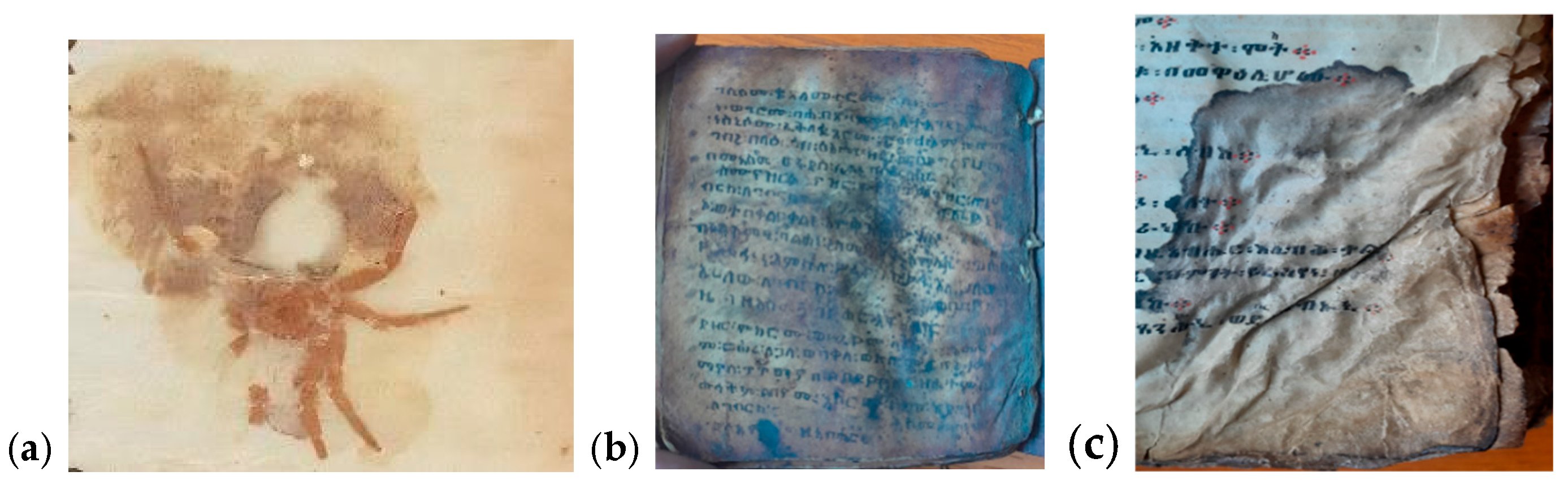 Arts 14 00173 g006 Arts 14 00173 g006