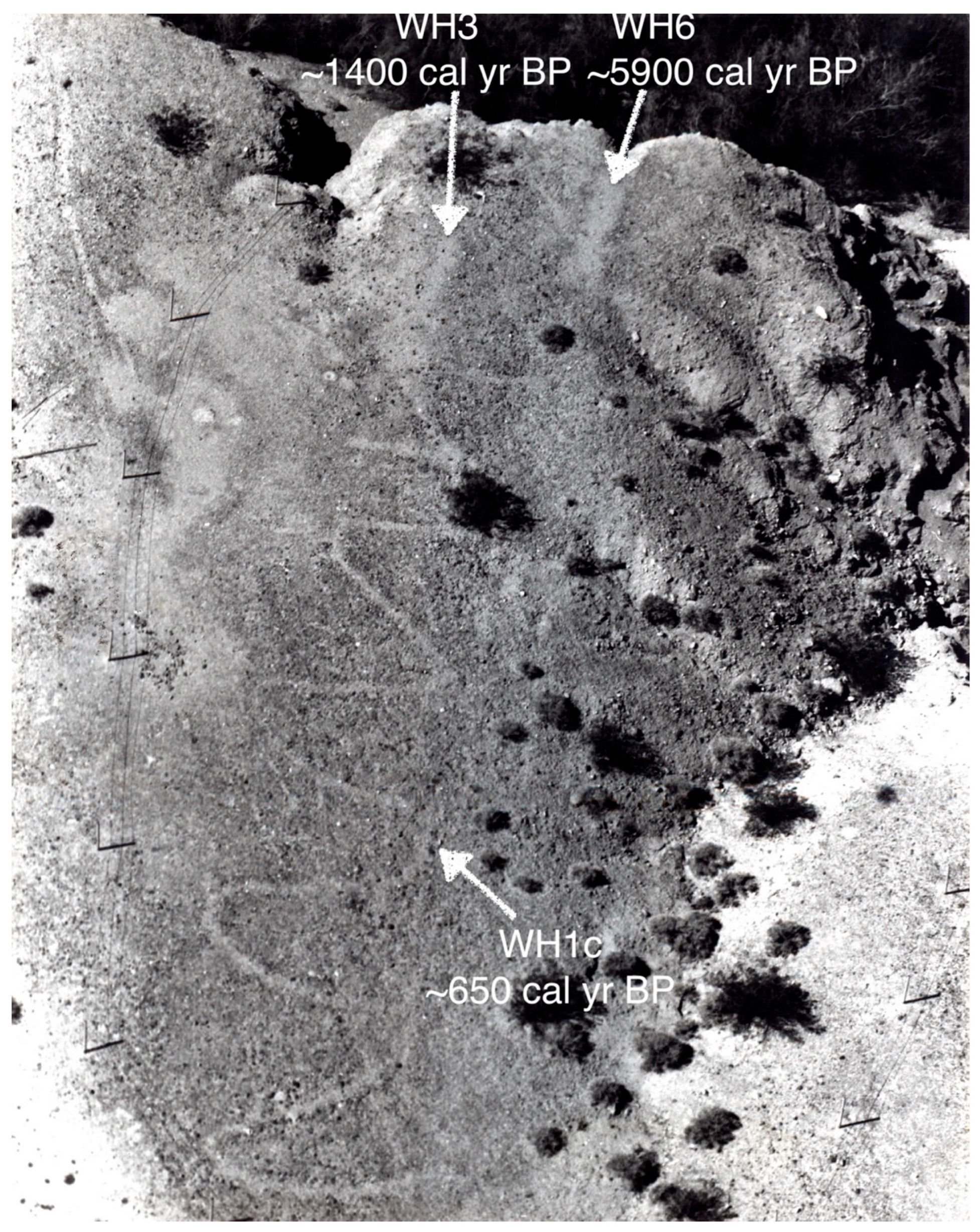 Arts 15 00006 g005 Arts 15 00006 g005