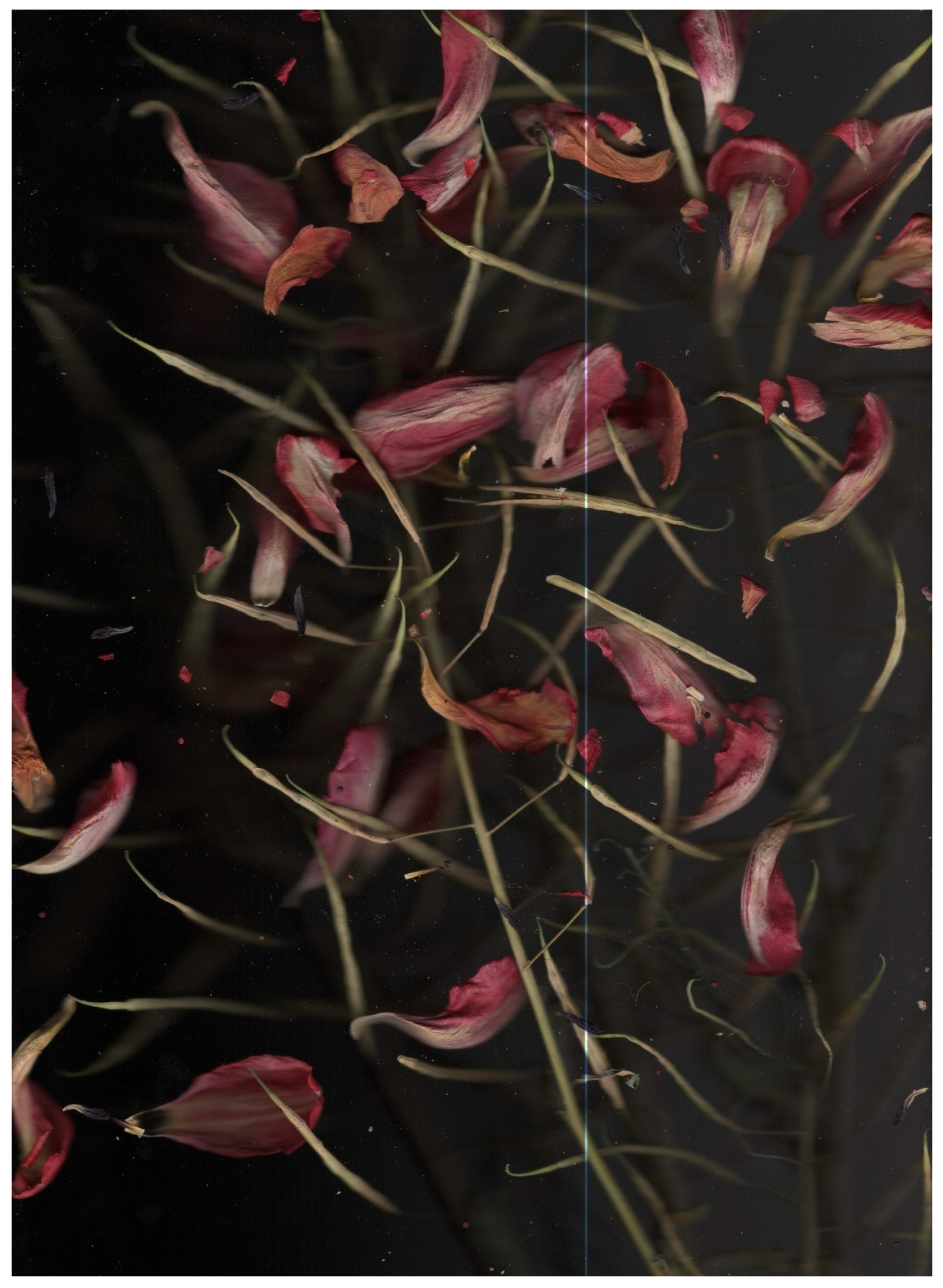 Arts 15 00108 g007