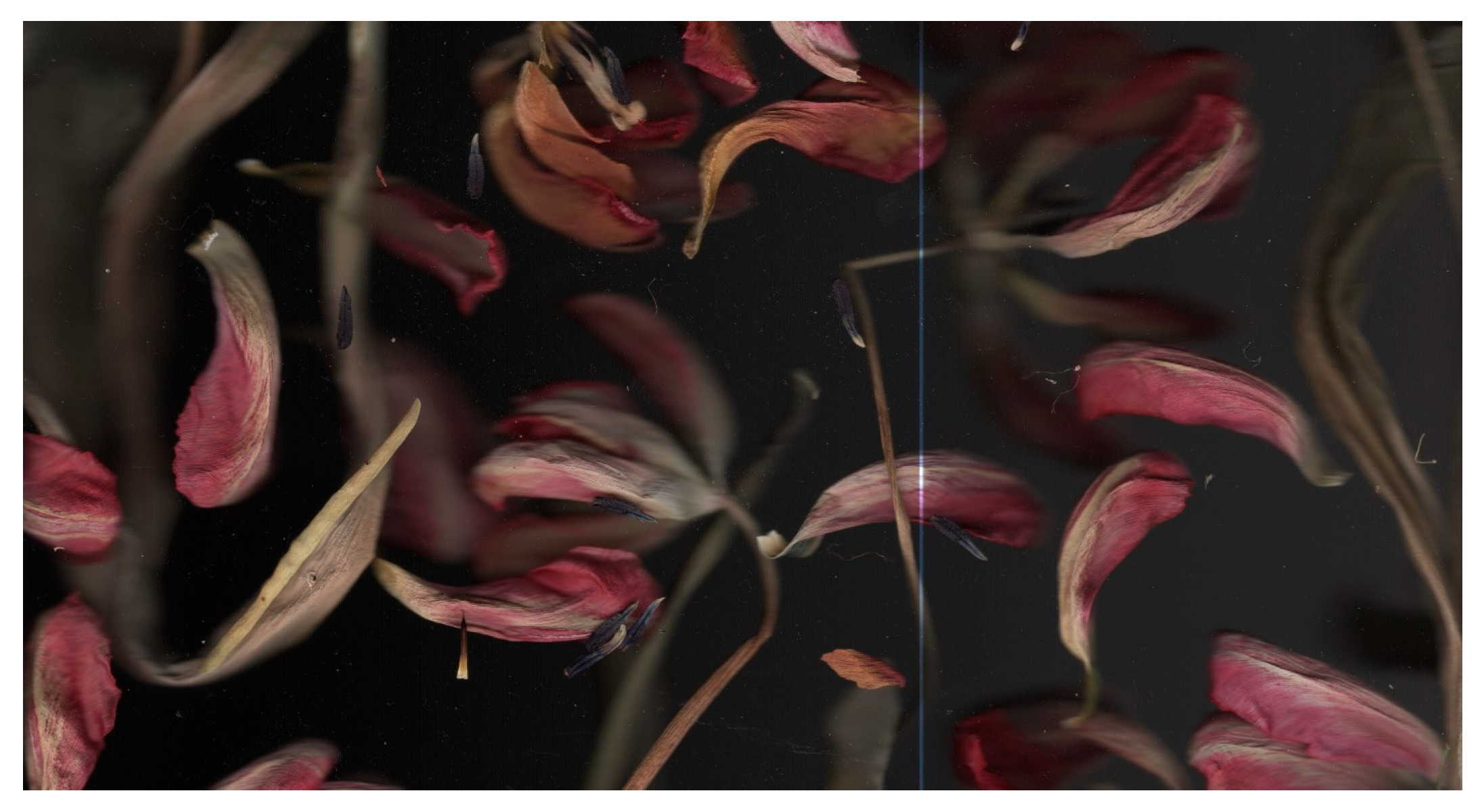 Arts 15 00108 g010