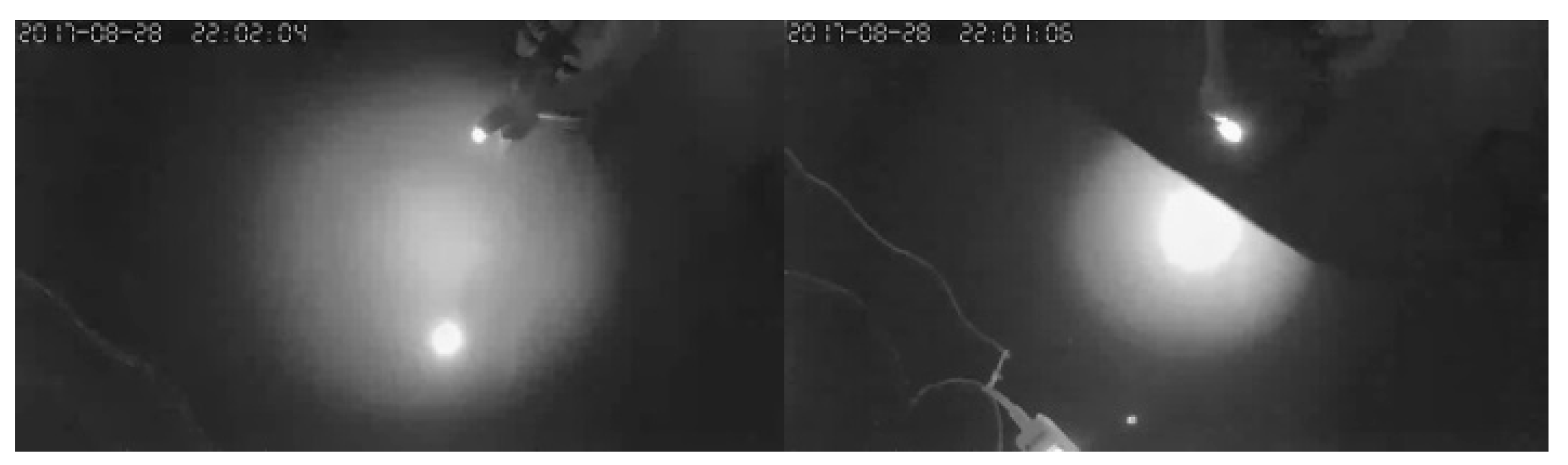 Asi 01 00004 g009