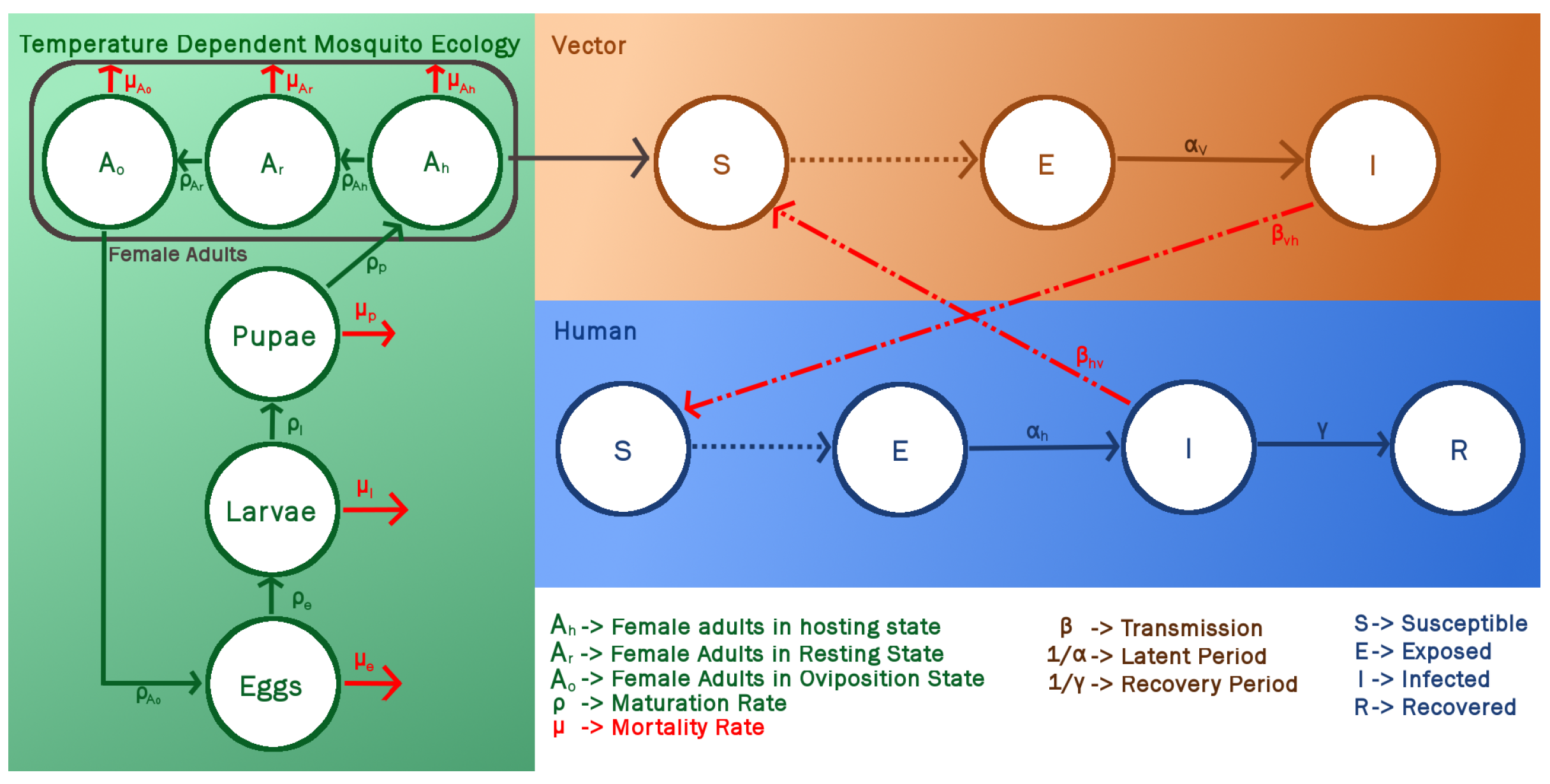 Asi 01 00031 g001 Asi 01 00031 g001