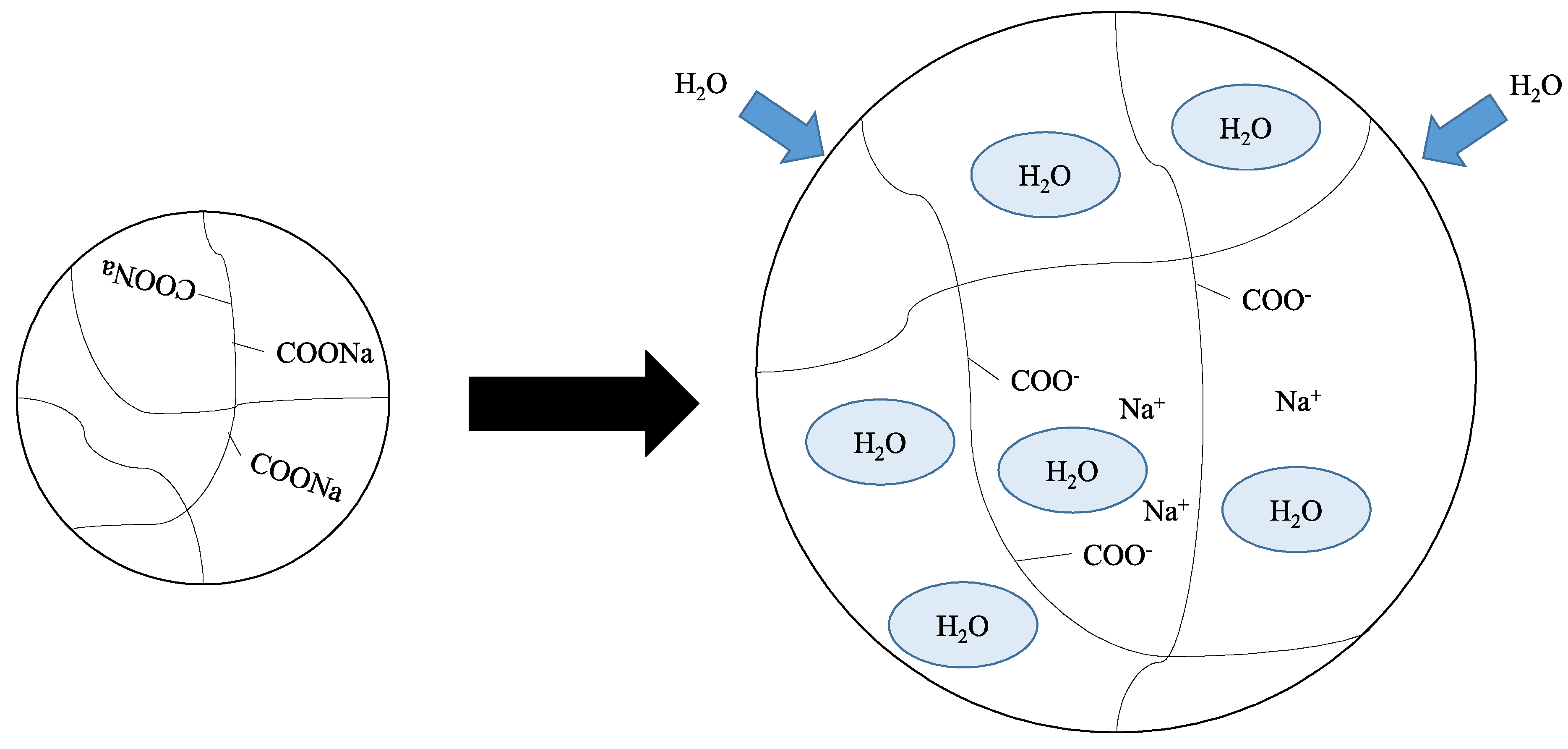 Asi 01 00041 g001 Asi 01 00041 g001