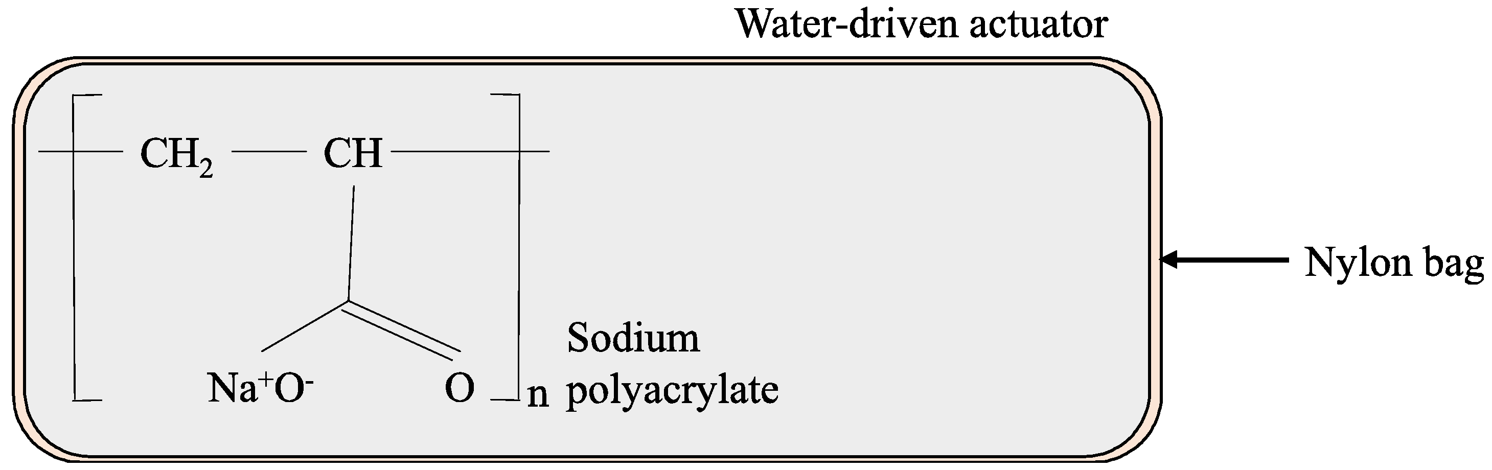 Asi 01 00041 g002 Asi 01 00041 g002