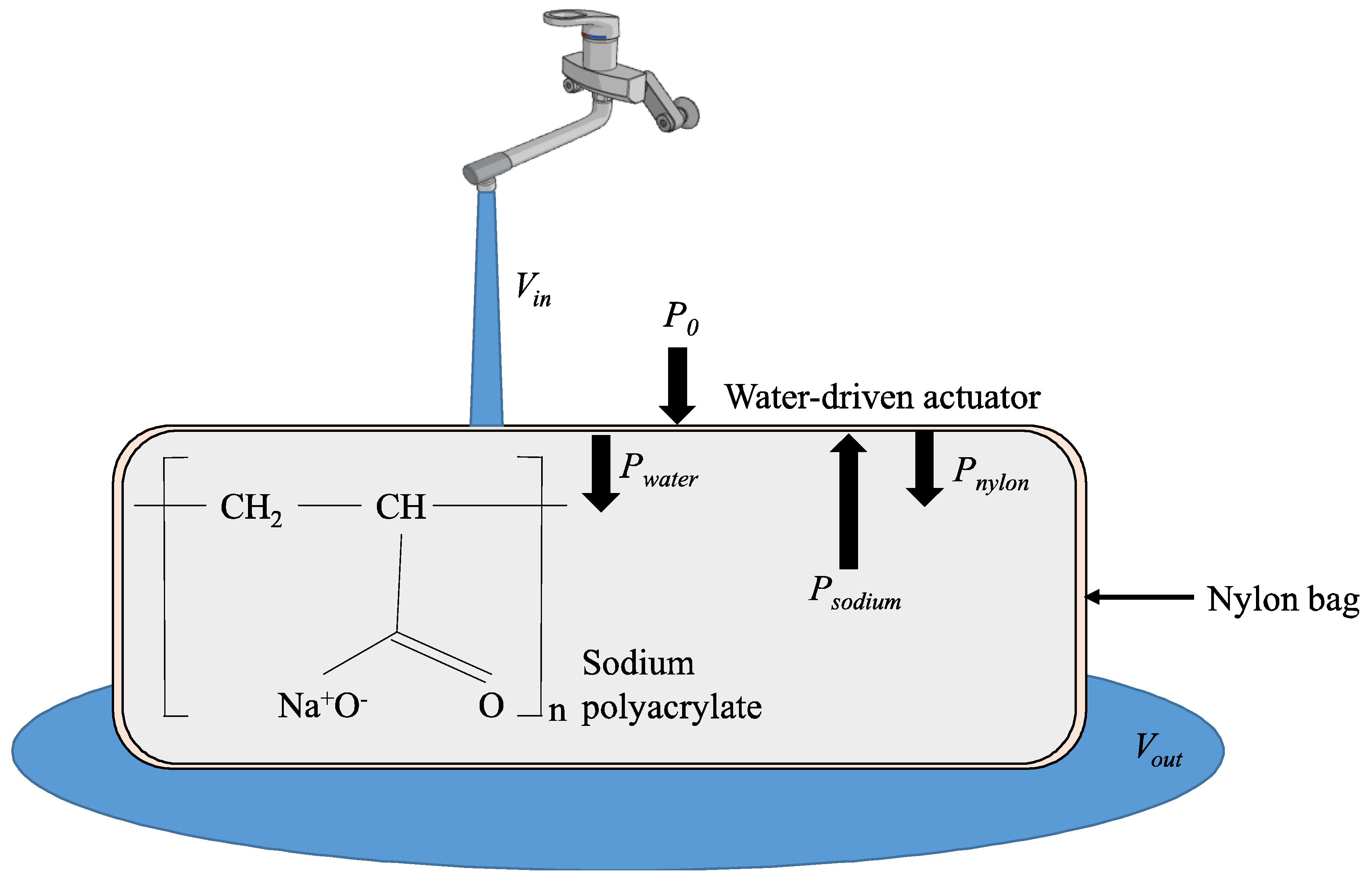 Asi 01 00041 g006 Asi 01 00041 g006