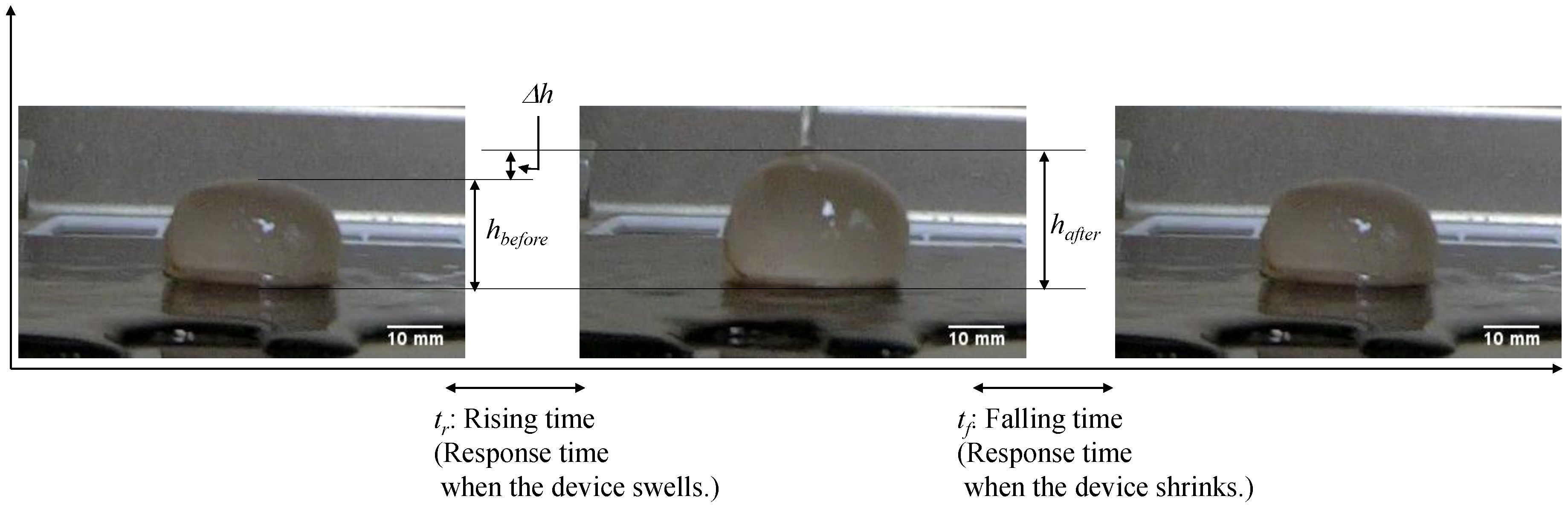 Asi 01 00041 g008 Asi 01 00041 g008