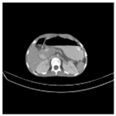 Asi 03 00008 i001 Asi 03 00008 i001