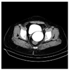 Asi 03 00008 i002 Asi 03 00008 i002