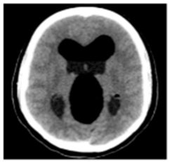 Asi 03 00008 i004 Asi 03 00008 i004