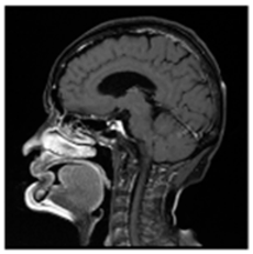 Asi 03 00008 i005 Asi 03 00008 i005