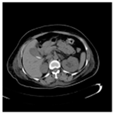 Asi 03 00008 i006 Asi 03 00008 i006