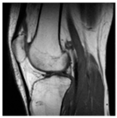 Asi 03 00008 i008 Asi 03 00008 i008