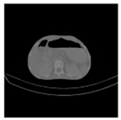 Asi 03 00008 i009 Asi 03 00008 i009