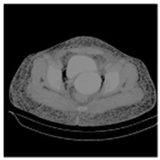 Asi 03 00008 i010 Asi 03 00008 i010