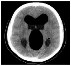 Asi 03 00008 i012 Asi 03 00008 i012