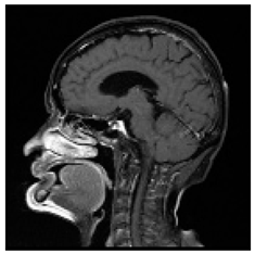 Asi 03 00008 i013 Asi 03 00008 i013