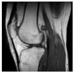 Asi 03 00008 i016 Asi 03 00008 i016