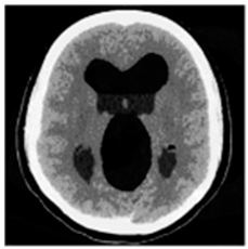 Asi 03 00008 i020 Asi 03 00008 i020