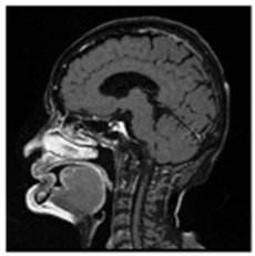 Asi 03 00008 i021 Asi 03 00008 i021