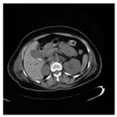 Asi 03 00008 i022 Asi 03 00008 i022