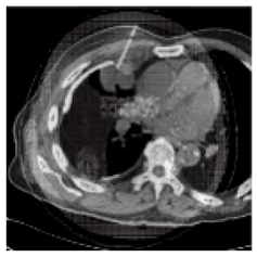 Asi 03 00008 i027 Asi 03 00008 i027