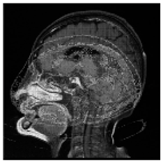 Asi 03 00008 i029 Asi 03 00008 i029