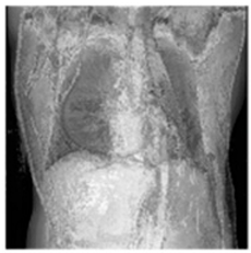 Asi 03 00008 i031 Asi 03 00008 i031