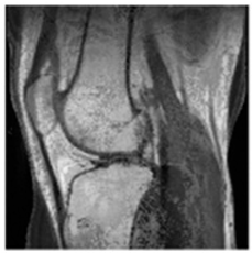 Asi 03 00008 i032 Asi 03 00008 i032