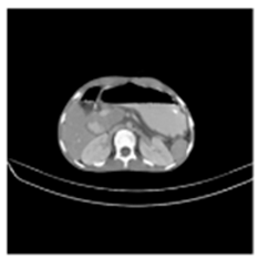 Asi 03 00008 i033 Asi 03 00008 i033