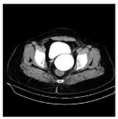 Asi 03 00008 i034 Asi 03 00008 i034