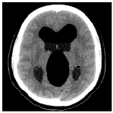 Asi 03 00008 i036 Asi 03 00008 i036