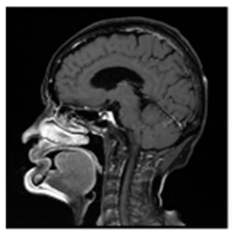 Asi 03 00008 i037 Asi 03 00008 i037