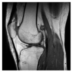 Asi 03 00008 i040 Asi 03 00008 i040