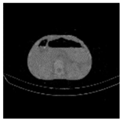 Asi 03 00008 i041 Asi 03 00008 i041