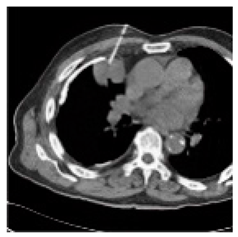 Asi 03 00008 i043 Asi 03 00008 i043