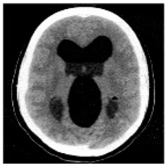 Asi 03 00008 i044 Asi 03 00008 i044