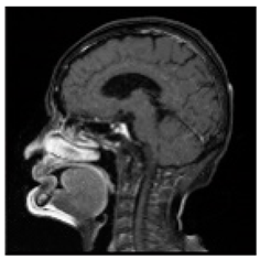 Asi 03 00008 i045 Asi 03 00008 i045